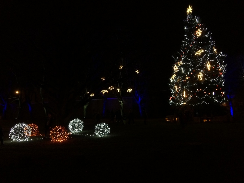 Sveicam pirmajā Adventē!