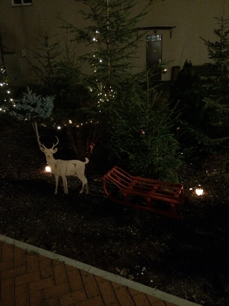 Sveicam pirmajā Adventē!