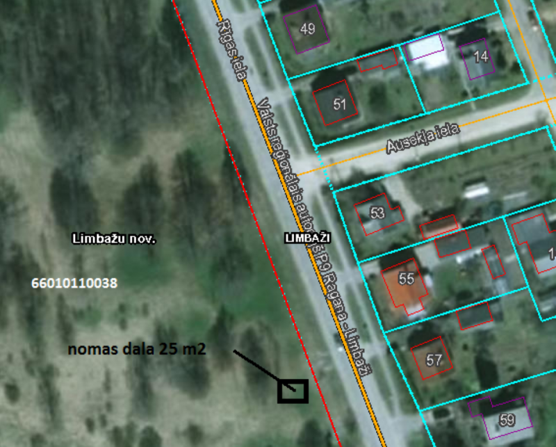 Noma