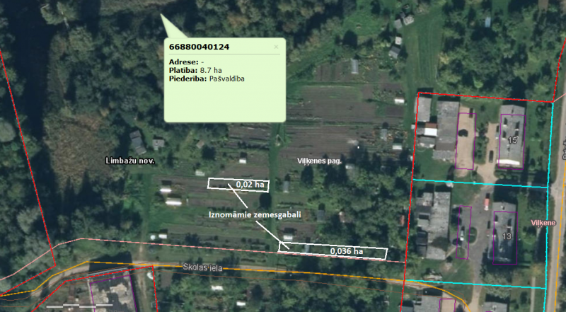 Noma