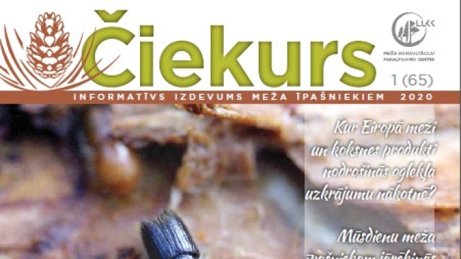 Informatīvais izdevums meža īpašniekiem “Čiekurs”