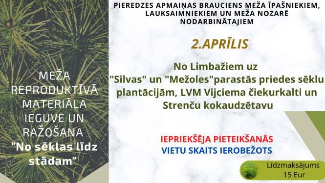 ATCELTS! Limbažu MKPC rīko pieredzes apmaiņas braucienu "Meža reproduktīvā materiāla ieguve un ražošana"