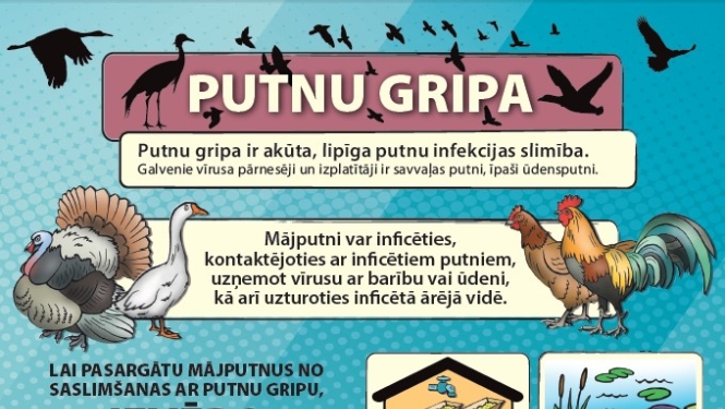 Aicinām ievērot biodrošību, lai pasargātu mājputnus no saslimšanas ar putnu gripu