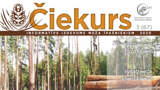 LLKC Mežu konsultāciju pakalpojumu centrs ir sagatavojis un izdevis rudens informatīvo izdevumu meža īpašniekiem „Čiekurs”