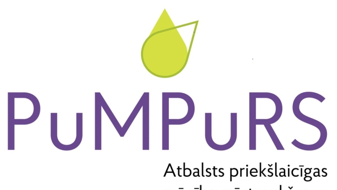 Apstiprināti 2 Limbažu novadā izsludinātā jaunatnes iniciatīvu projekta konkursa projekti