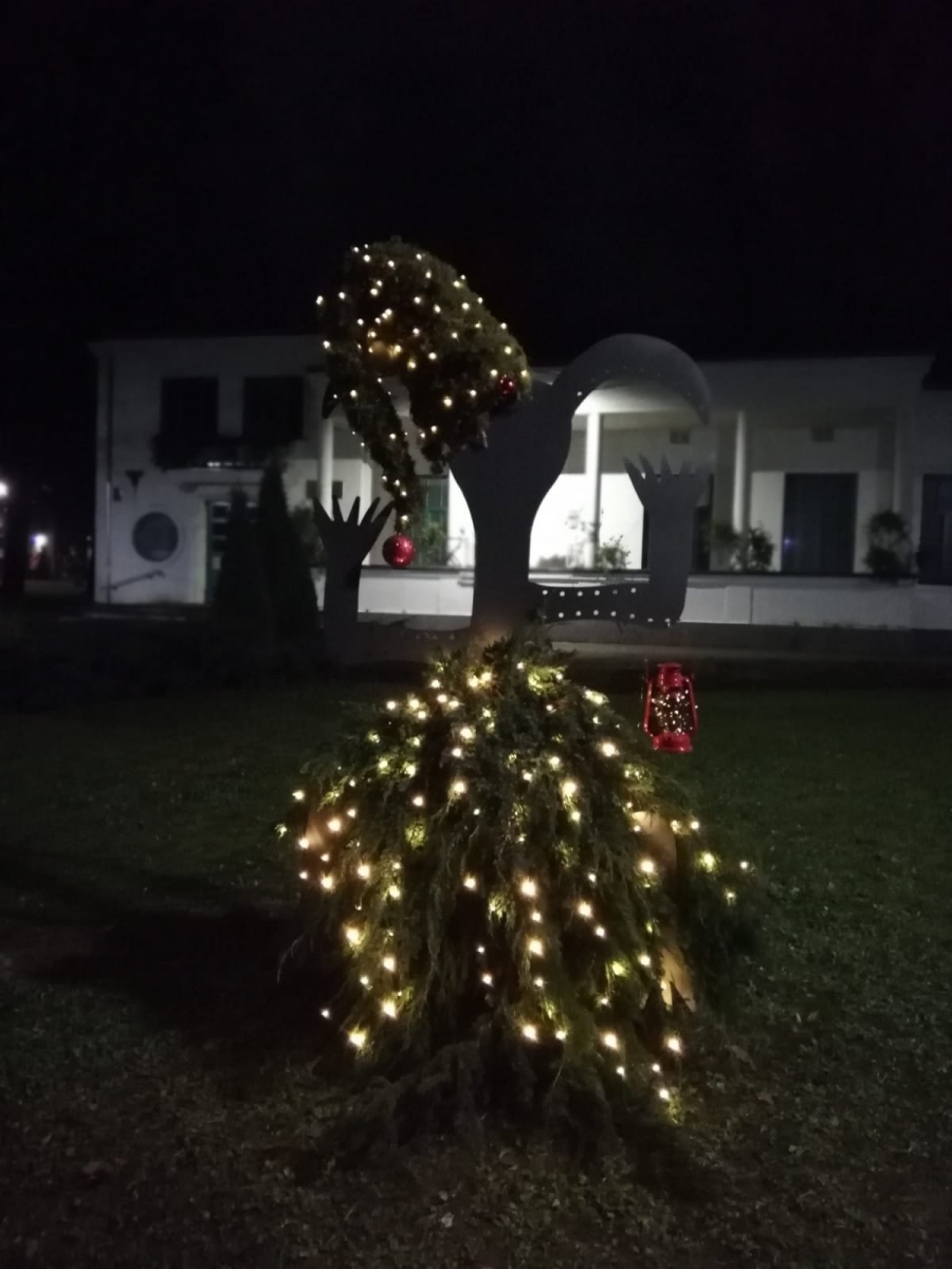 Limbažos iedegta Ziemassvētku egle