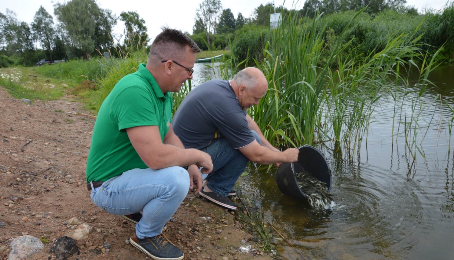 Limbažu Dūņezera zivju resursi papildināti ar 7000 vienvasaras līdaku mazuļiem