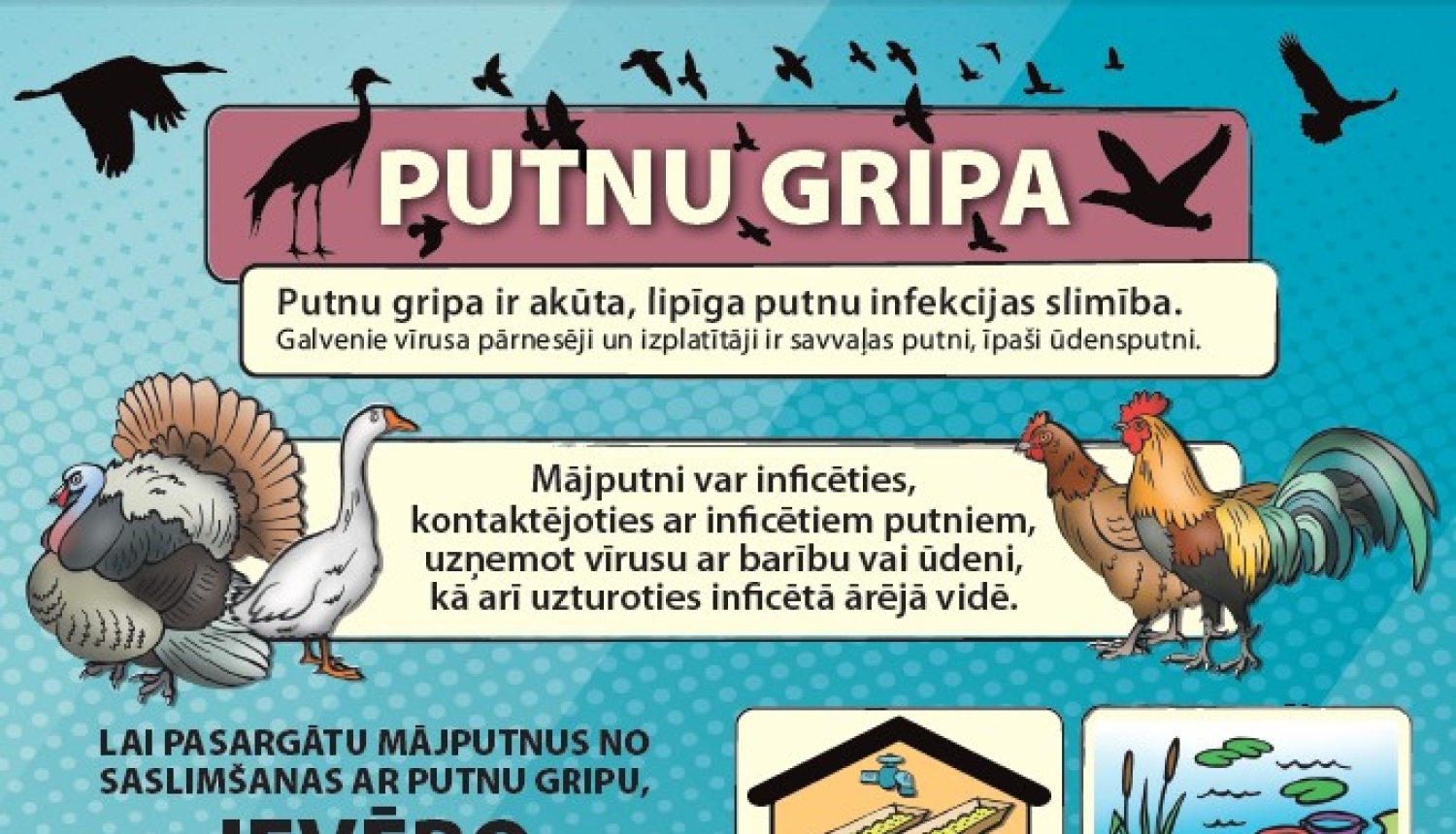 Aicinām ievērot biodrošību, lai pasargātu mājputnus no saslimšanas ar putnu gripu