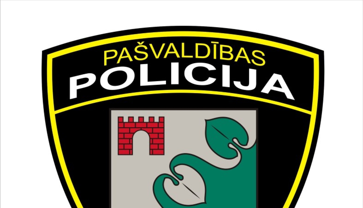 Ieskats Limbažu novada pašvaldības policijas darbā janvāra mēnesī