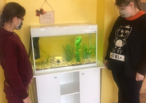 Limbažu novada speciālā pamatskola